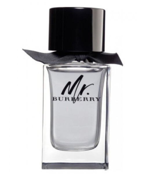 Burberry Mr. Burberry EDT 100 ml Erkek Outlet Parfüm