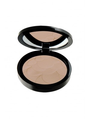 PASTEL ULTIMA PUDRA 20